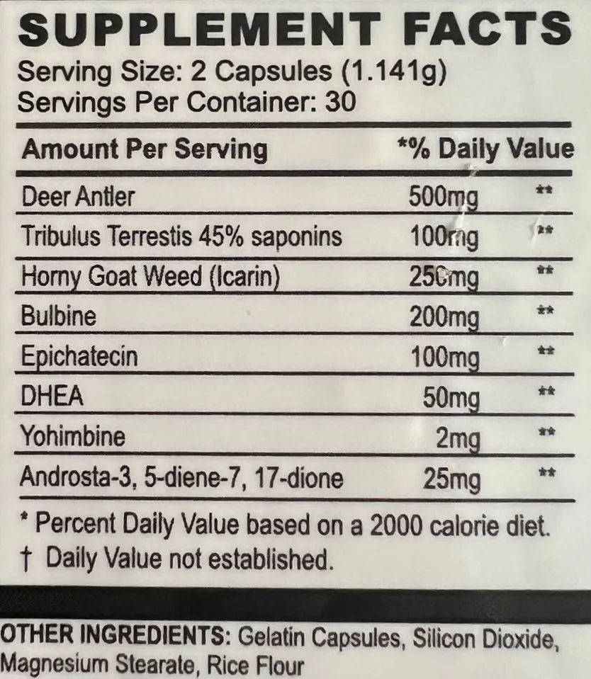 ALPHA T-1000 - Image 3